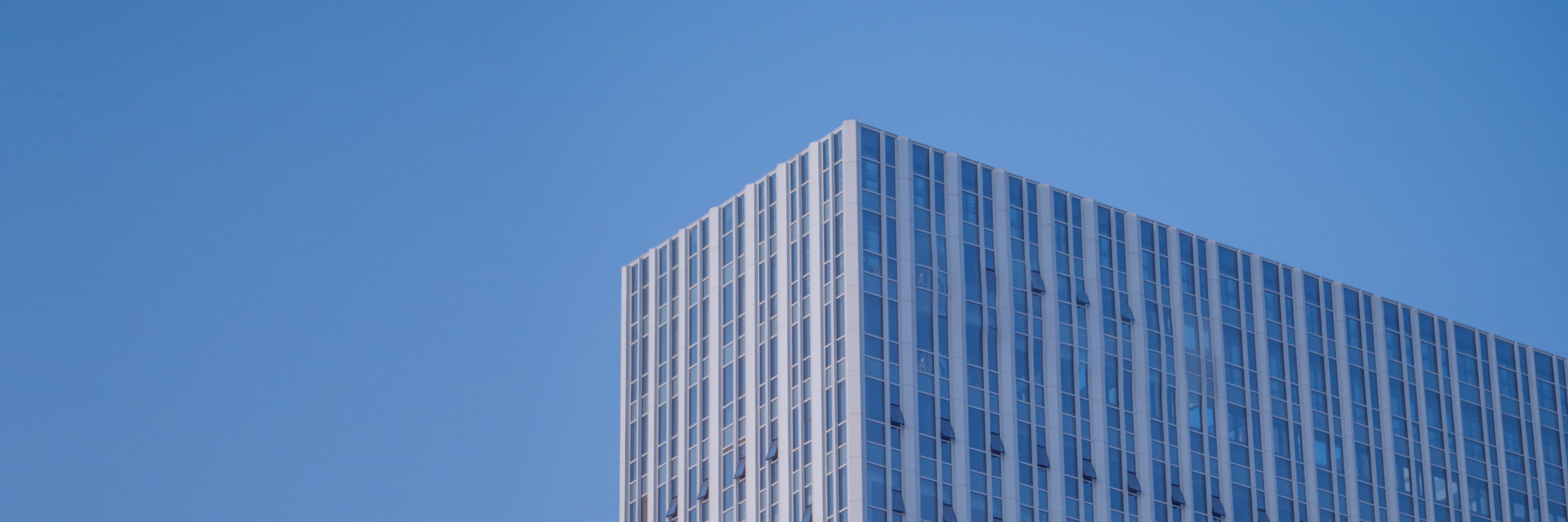 企业资讯背景图