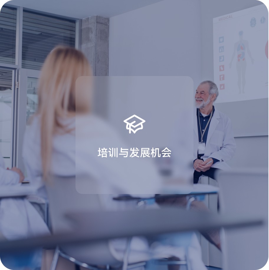 培训与发展机会